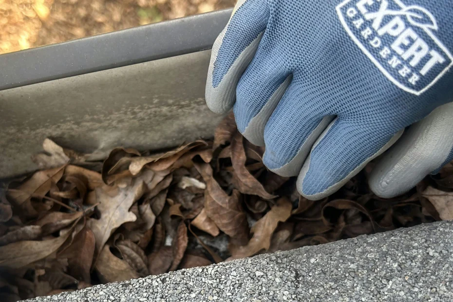 Gutter Cleaning Duncan